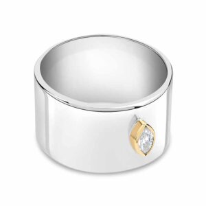 Gold & Silver Band Ring
